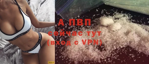 гашик Балахна