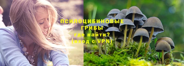 гашик Баксан
